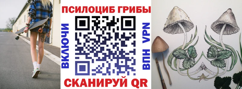 Галлюциногенные грибы MAGIC MUSHROOMS  Новопавловск 