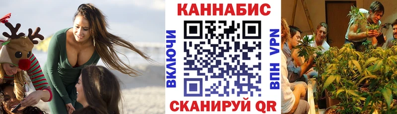 Канабис ГИДРОПОН  Новопавловск 